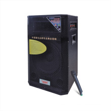 12" Active Professional Speaker 610t